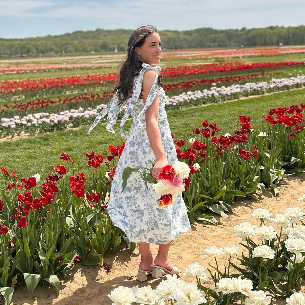 Toile Blue and White Bow Tie Linen Blend Dress